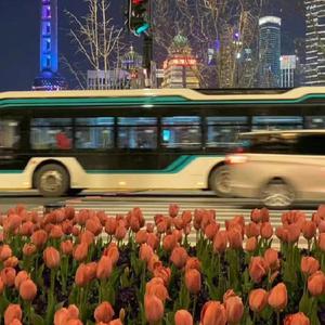 男生肌肌涌女生肌肌视频
