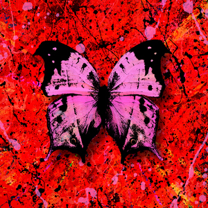 男生肌肌涌女生肌肌视频
